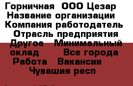 Горничная. ООО Цезар › Название организации ­ Компания-работодатель › Отрасль предприятия ­ Другое › Минимальный оклад ­ 1 - Все города Работа » Вакансии   . Чувашия респ.